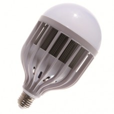 Emergncy LED Bulb